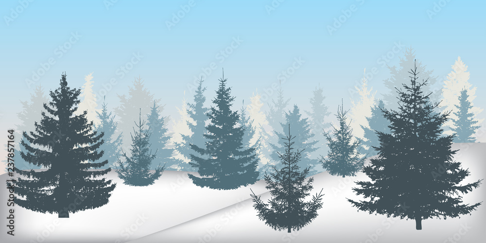 Obraz premium Silhouette of winter snowy forest, beautiful spruce trees (fir trees). Vector illustration