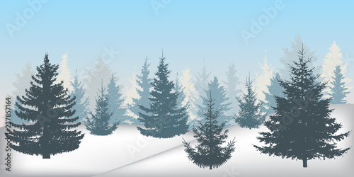 Silhouette of winter snowy forest  beautiful spruce trees  fir trees . Vector illustration