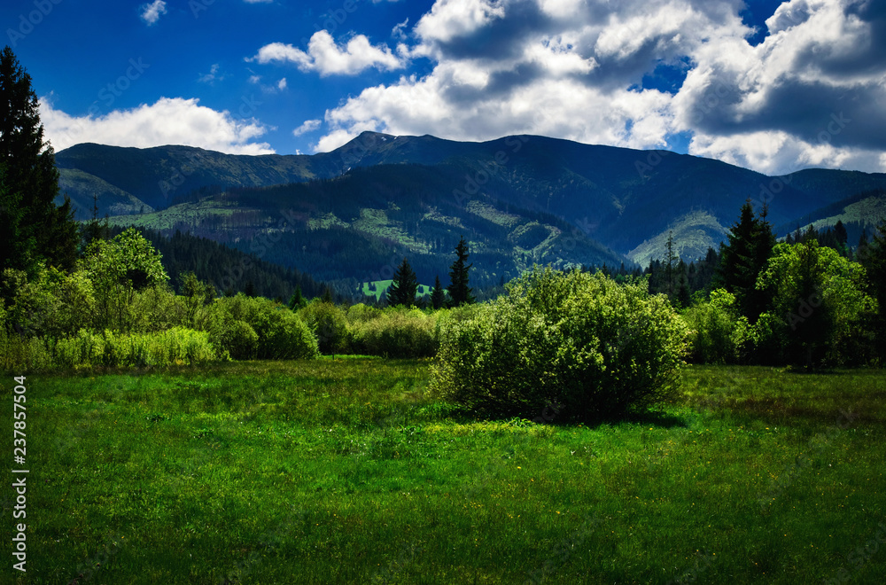 summer mountainous countryside with hills