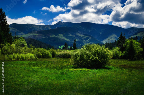 summer mountainous countryside with hills