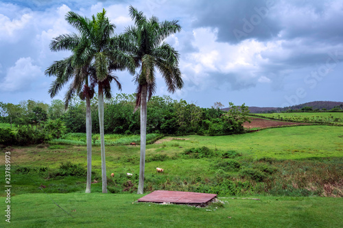 Farm in the province of Matanzas in Cuba photo