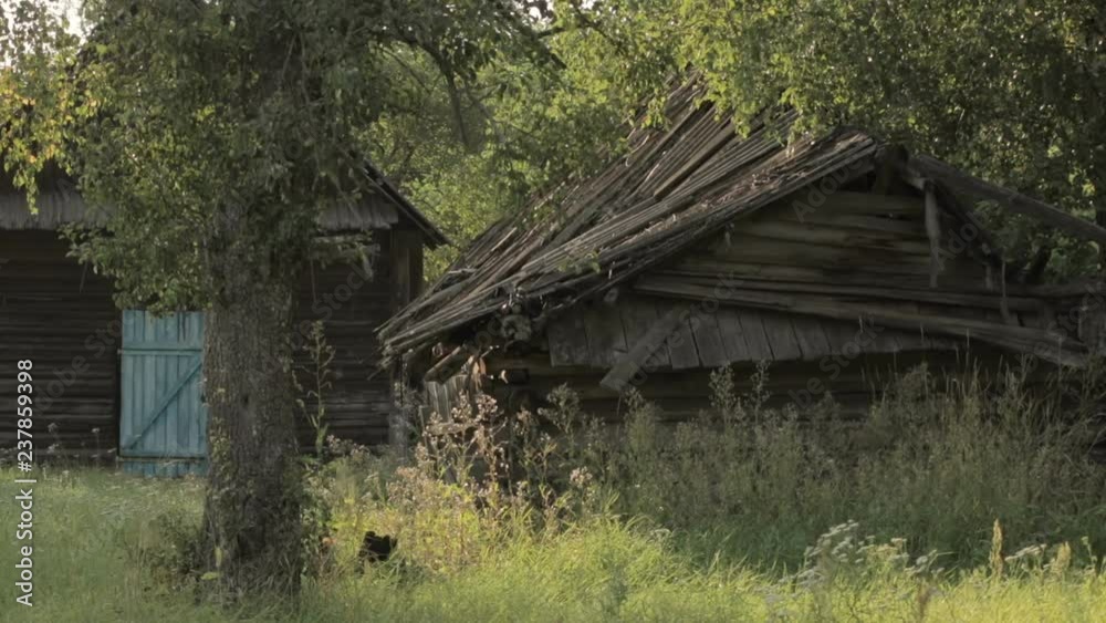 Static view on old destroyed abandoned wooden house in village of Belarus. Static view on old destroyed abandoned wooden house in village of Belarus.