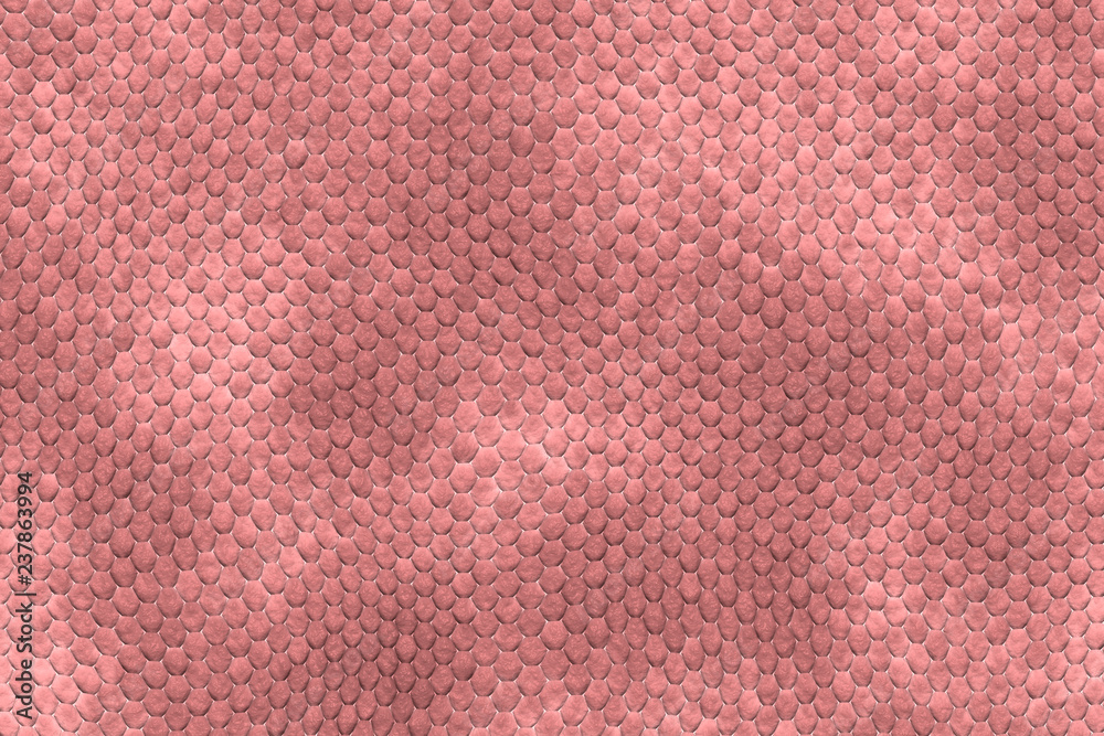 Fototapeta premium Lizard skin texture