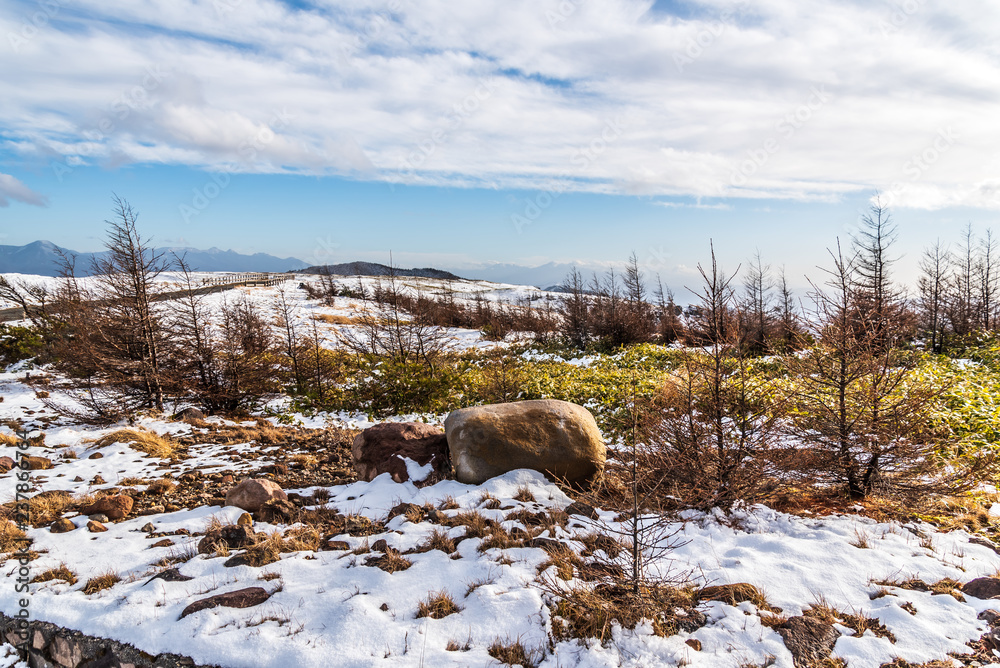 Naklejka premium 雪がかった牧場