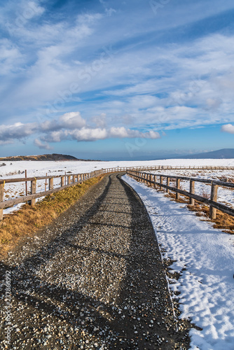 雪がかった牧場 © Hahipon