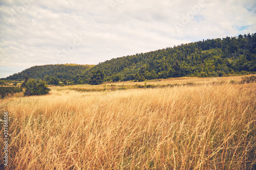 View of hilly landscape in the summertime.