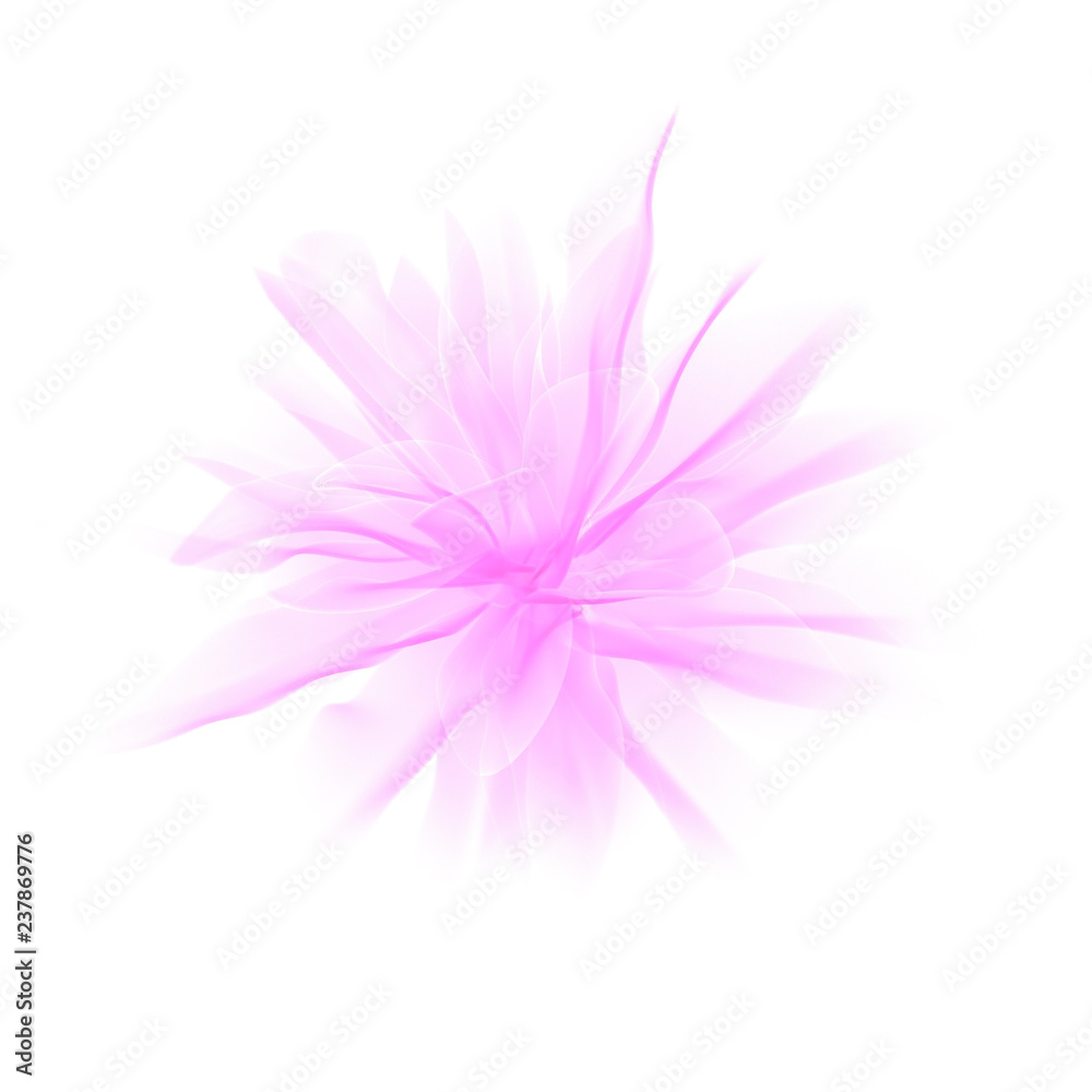 Pink pastel abstract transparent petals flower design element isolated on white, 3d rendering