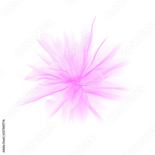 Pink pastel abstract transparent petals flower design element isolated on white  3d rendering