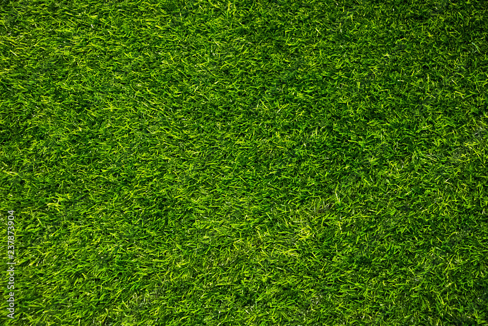 Naklejka Zielona ściana i zielona podłoga background.fresh wiosna zielona trawa.