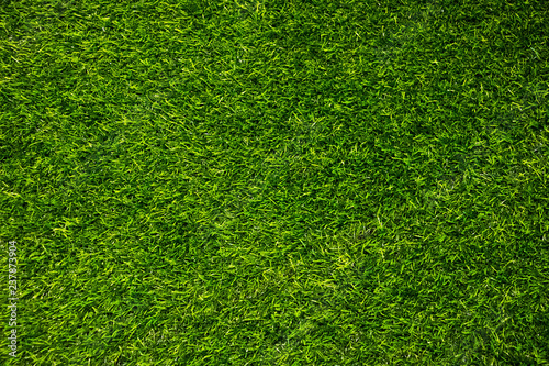 Green wall and green floor background.fresh spring green grass.