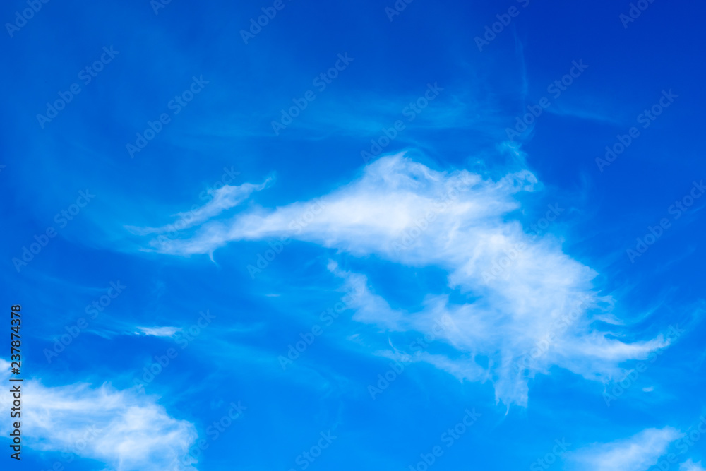 The blue sky with the white clouds in the sunny day. The blue sky with the white clouds in the sunny day.