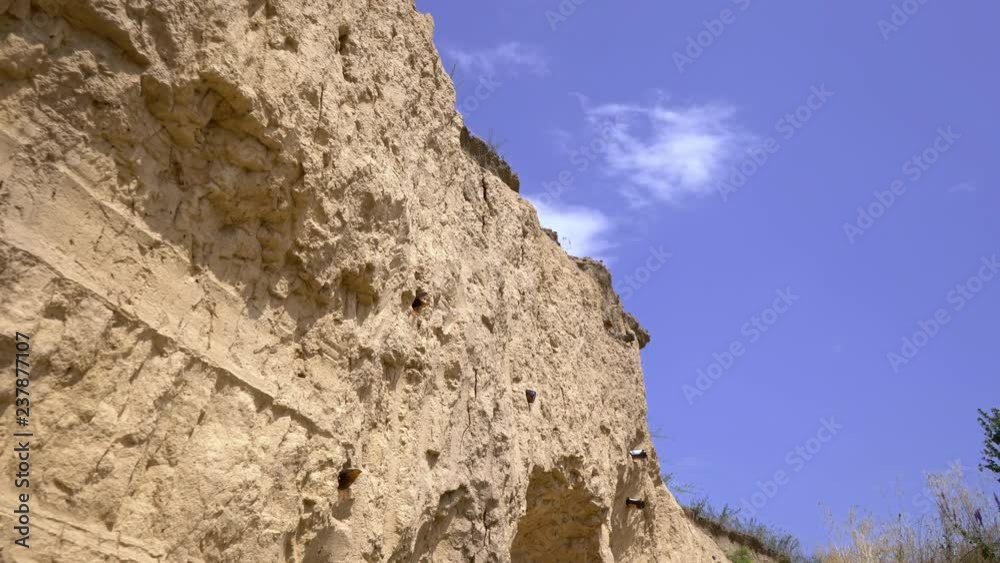 Clay canyon. Gorge. Deep river valley with very steep slopes and narrow bottom. Wild nature. Desert land. Scorching sun. Drought. Rock break. Mountain gorge Clay canyon. Gorge. Deep river valley with very steep slopes and narrow bottom. Wild nature. Desert land. Scorching sun. Drought. Rock break. Mountain gorge