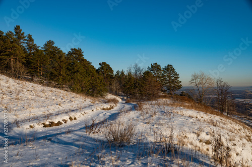 trees, pines, forest, slope, sky, snow, winter, nature