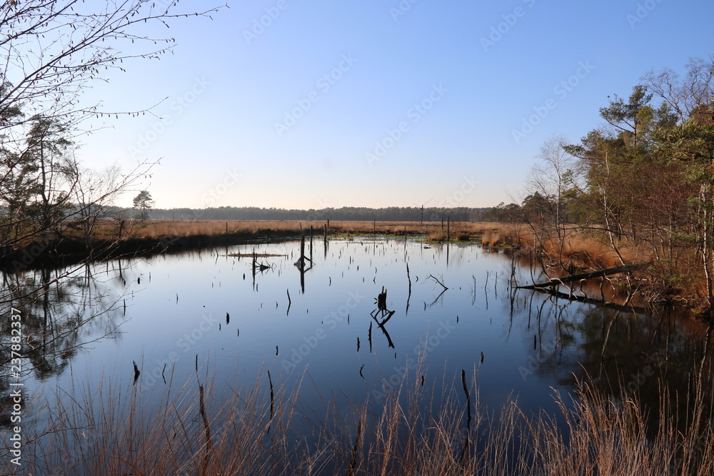 Pietzmoor in der Lüneburger Heide im Herbst