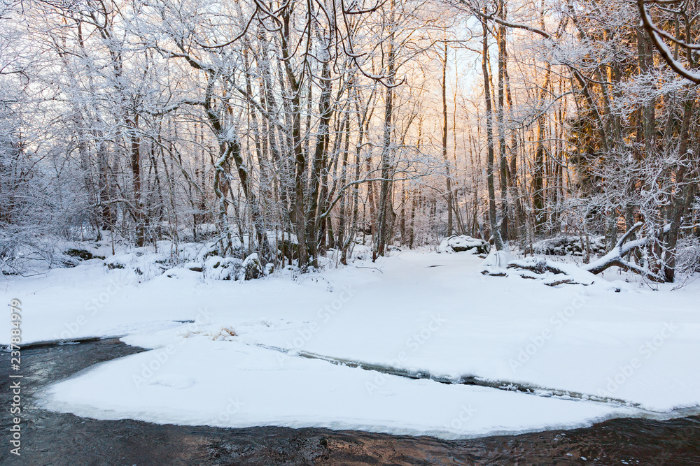 Sunrise in the winter forest at the river Sunrise in the winter forest at the river