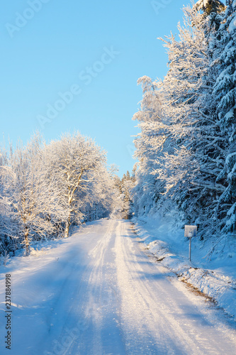 Winter forest road with snow and frost in the landscape © Lars Johansson