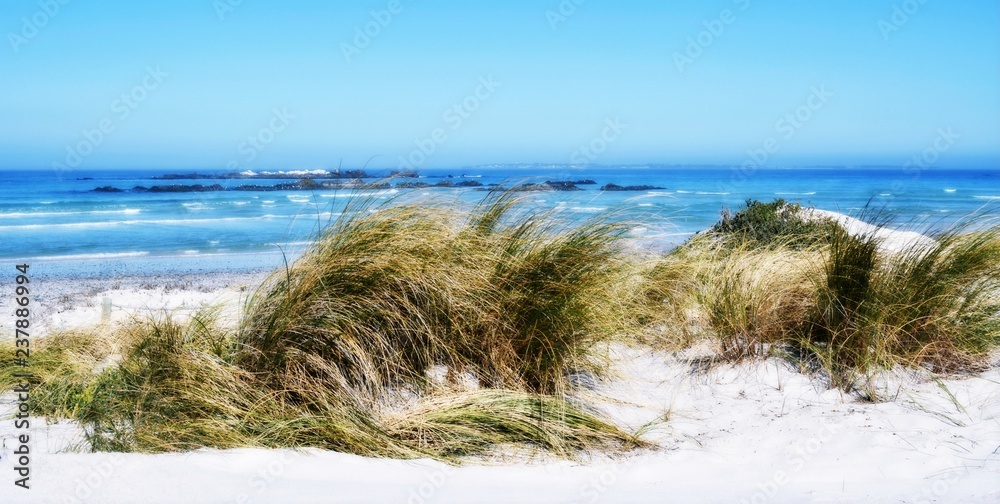 Close up of sand dunes with dune grass Close up of sand dunes with dune grass