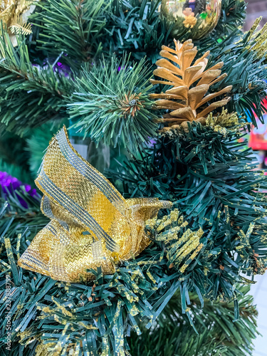 Pine and cones close-up