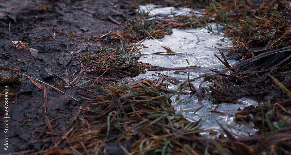 ice ice