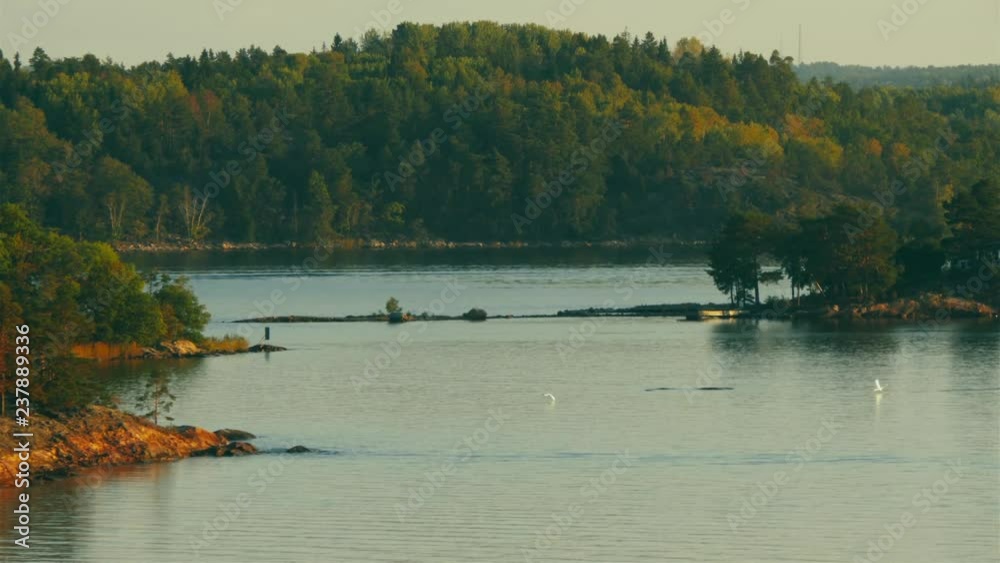 Birds flying on a tranquil evening in the swedish coast.
