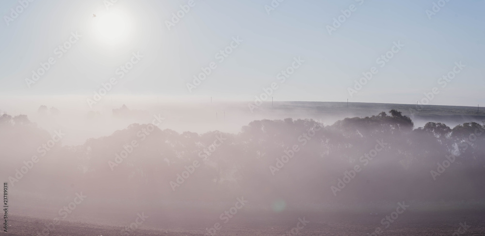 Fototapeta premium fog in the mountains