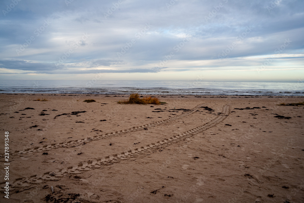 empty sea beach with sand dunes empty sea beach with sand dunes