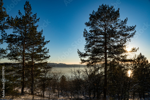 river, mountains, forest, pine, snow, sky, evening