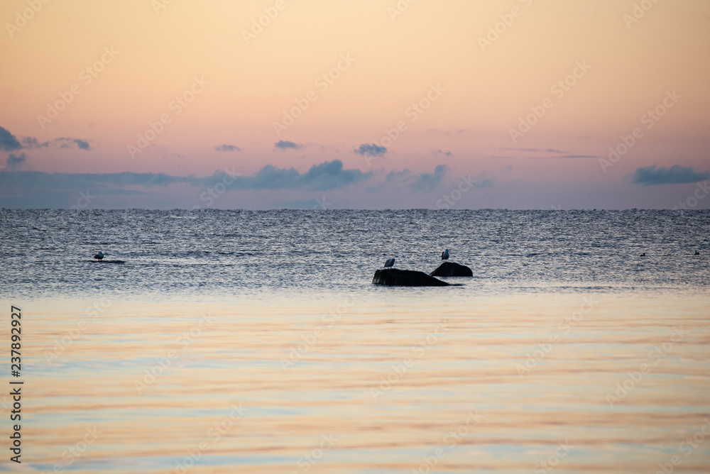 Fototapeta premium colorful sunset or sunrise in the sea