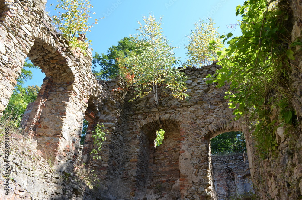 Ruiny Zamku Świecie, Dolny Śląsk, Polska