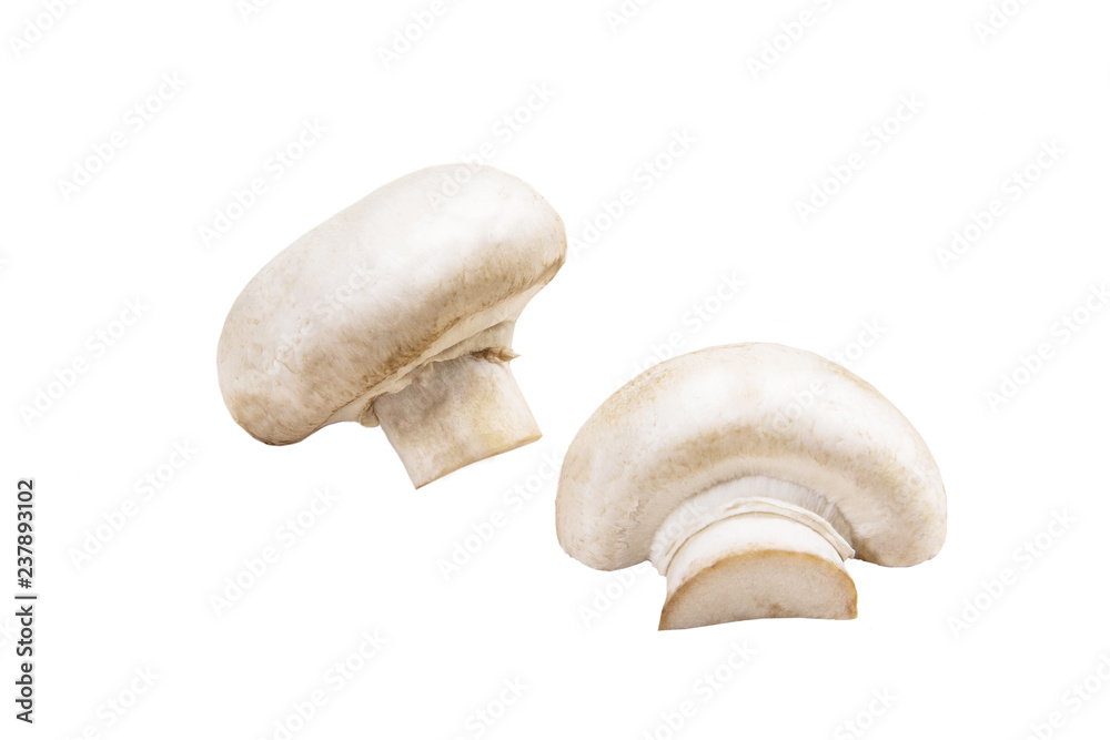 Fototapeta premium Mushrooms on white background. Isolated on white. Champignons