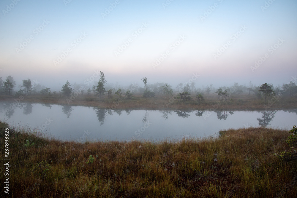 sunrise with mist in swamp bog area sunrise with mist in swamp bog area