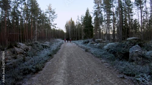 Three hikers on their way home after spending a day on a trail in the woods. No camera movements. Filmed in realtime ta 4k. photo