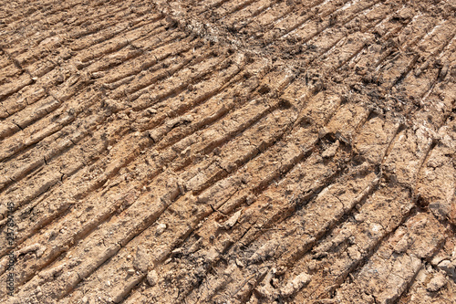 Bulldozer prints in clay soil.