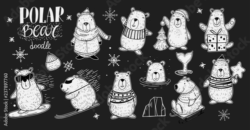 Set of the Polar Bear in winter activity: snowboarding, skiing, sledding. Doodle style. Isolated vector