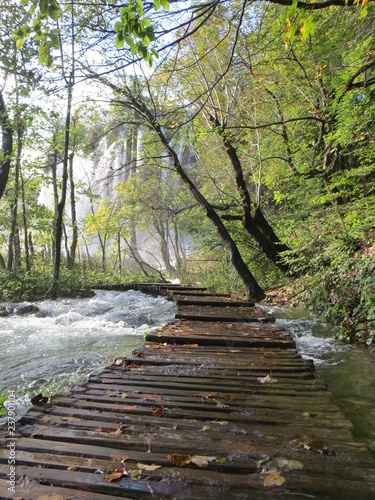Boardwalk across running river in the forest