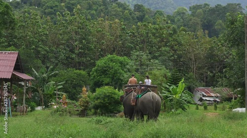 2 caucasian tourist riding on an elephant in the jungle in Thailand Cropped photo