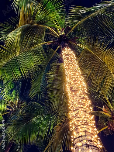Coconut tree lighting deals