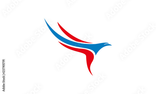 elegant eagle logo vector