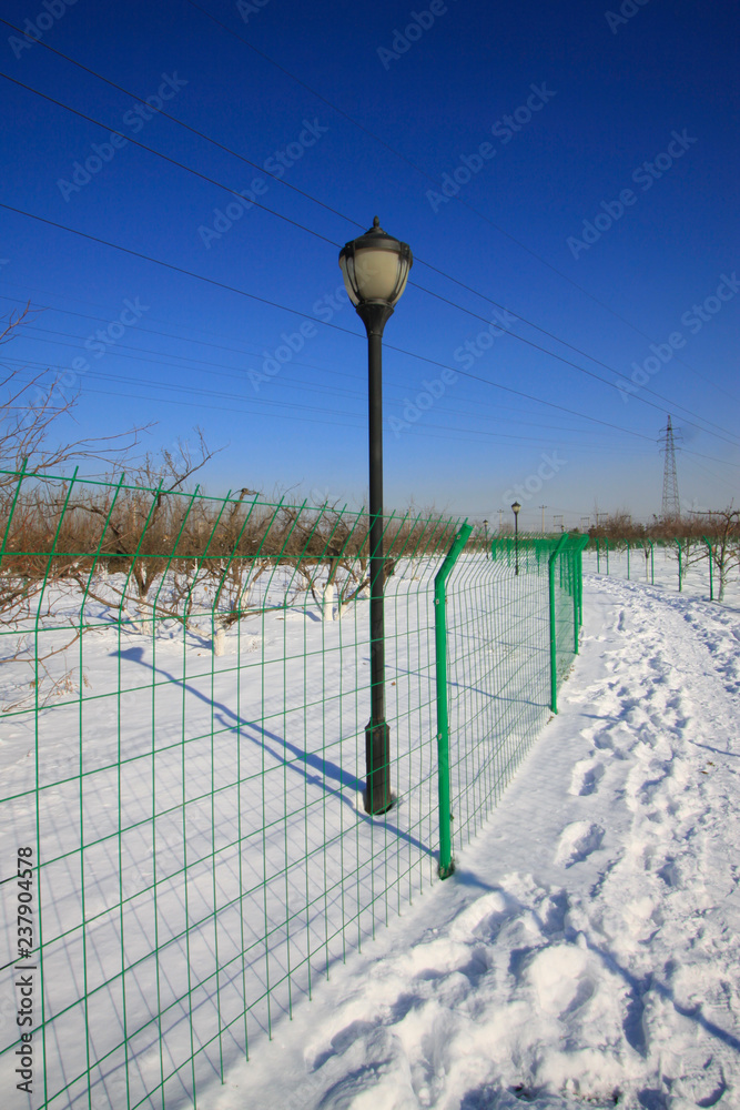 Obraz premium Metal fences and street lamps in the snow