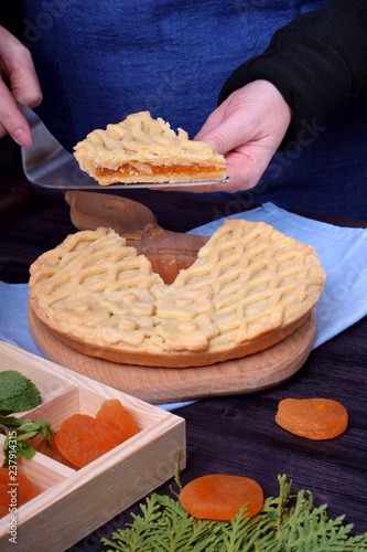 A piece of pie with dried apricots in female hands photo