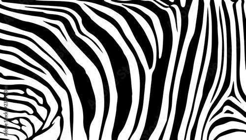 stripe animals jungle texture zebra vector black white print