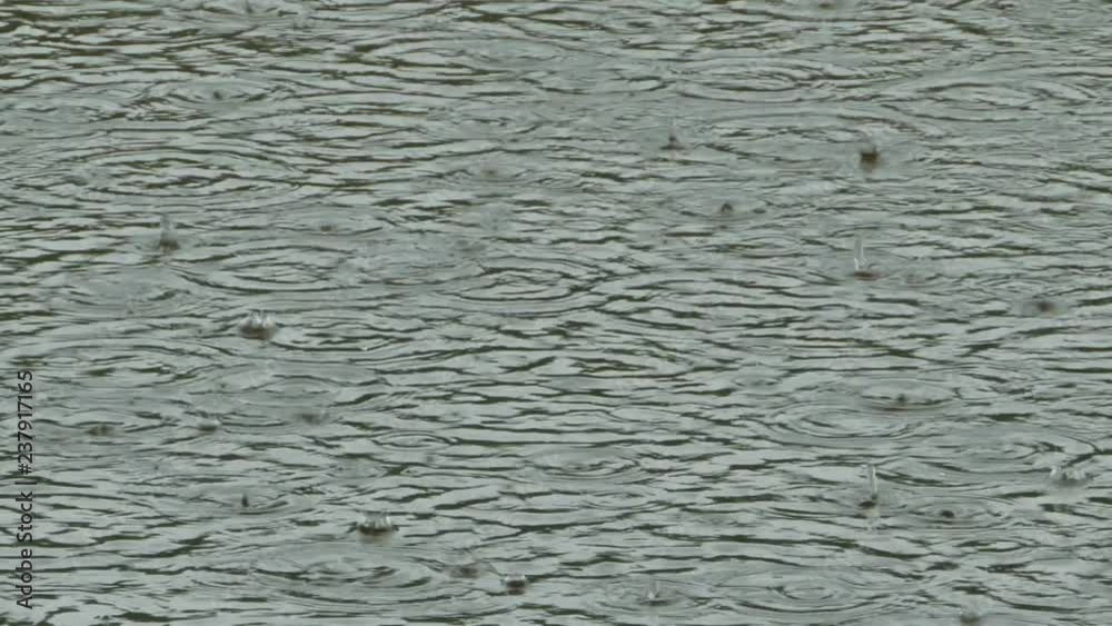 Rainstorm, circles on the water, abstract background Rainstorm, circles on the water, abstract background