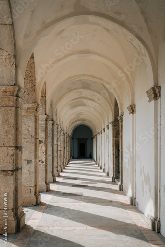 Arches at Certosa di San Giacomo, in Capri, Italy