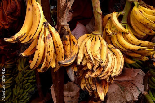 bananen auf dem markt sansibar