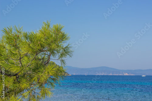 Fototapeta Naklejka Na Ścianę i Meble -  summer vacation and tourist holidays concept of south sea bay lagoon scenery landscape shore line in small island with vivid blue water surface and cedar tree on stone waterfront rocks 