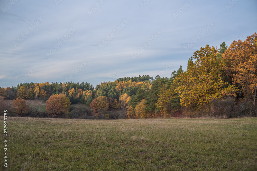 Landschaft im Herbst