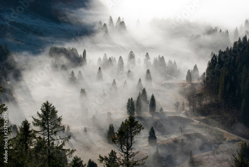 Bergschlucht in Nebel getaucht