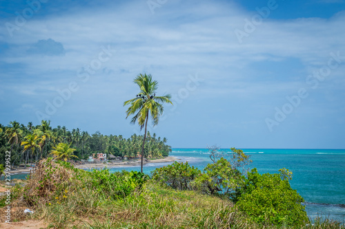 Beaches of Brazil - Maragogi  Alagoas State