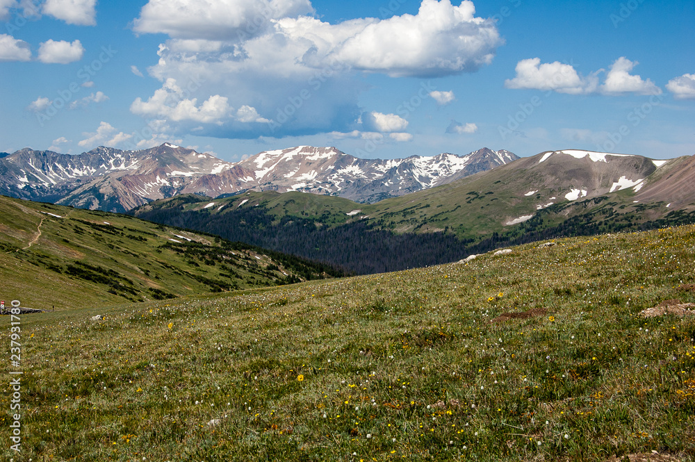 Fototapeta premium Rocky Mountains