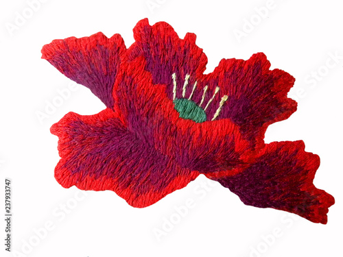 embroidered delicate flowers on a white background, Ukrainian embroidery